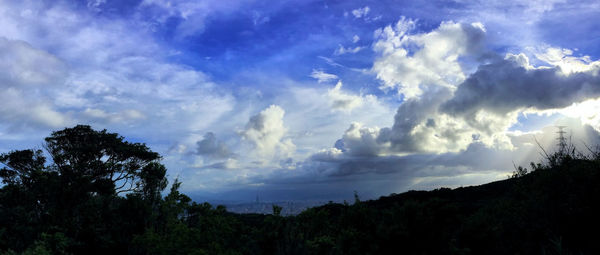 Low angle view of trees against sky