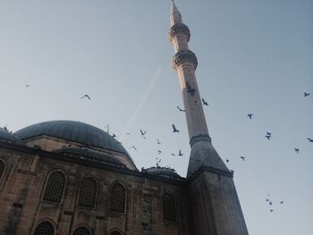 Low angle view of birds flying in city against sky