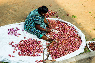 High angle view of woman cleaning onions at market