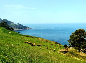 Scenic view of sea against sky