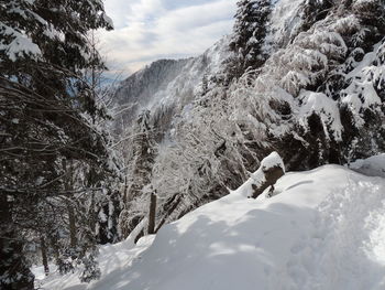 Scenic view of snowcapped mountain against sky