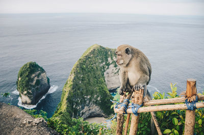 Portrait of woman sitting on rock