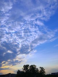 Low angle view of silhouette trees against blue sky