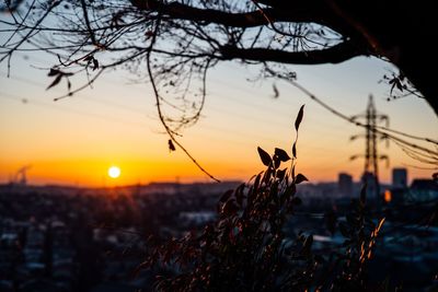 Close-up of silhouette flower against orange sky