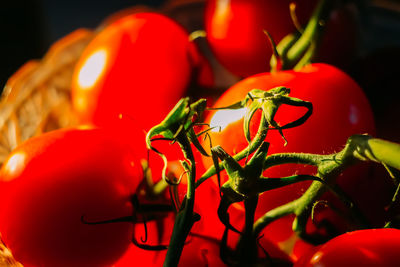 Close-up of cherry tomatoes