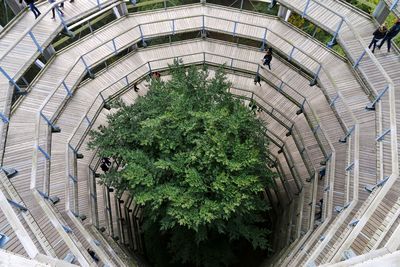 High angle view of tree in wooden tower