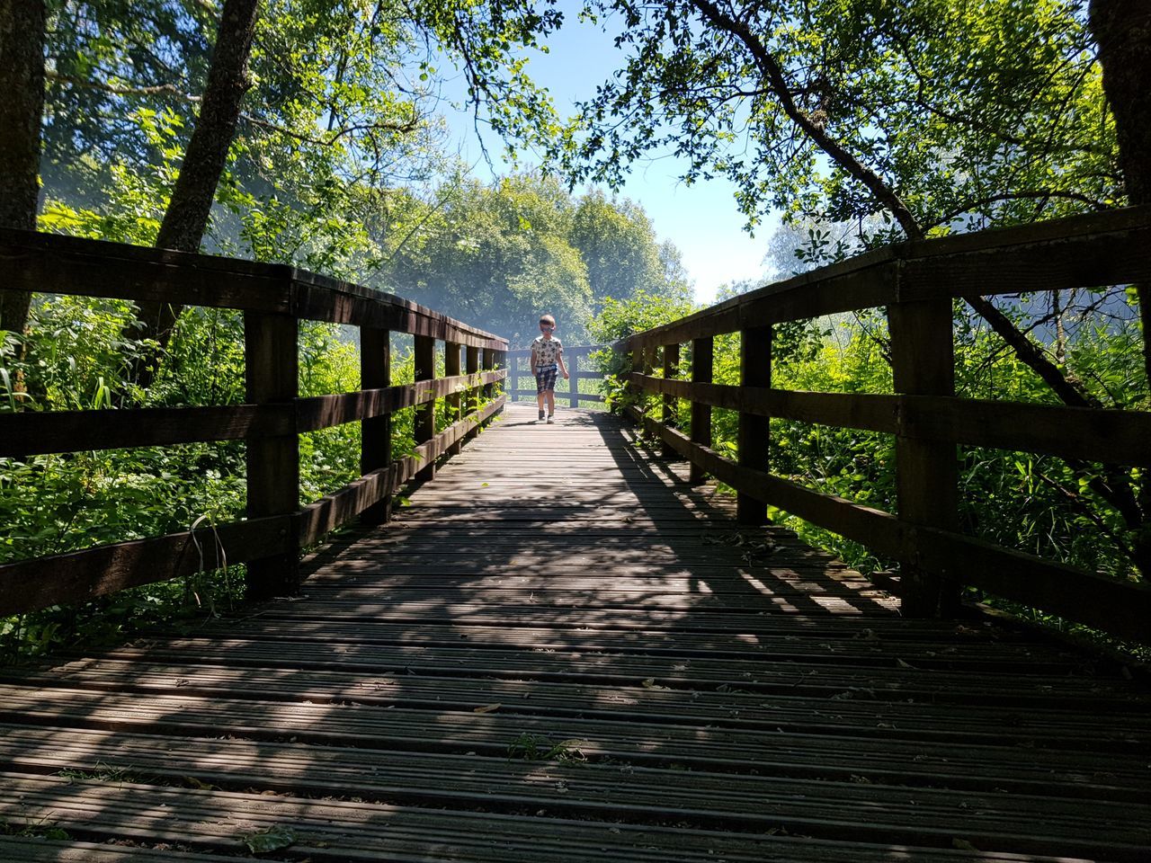 WOODEN FOOTBRIDGE ALONG TREES IN FOREST