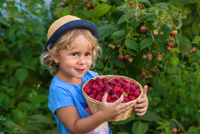Portrait of cute girl holding strawberries