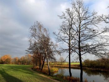 Scenic view of landscape and bare trees against sky