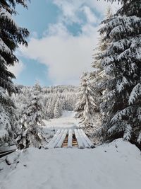 Snow covered land and trees against sky