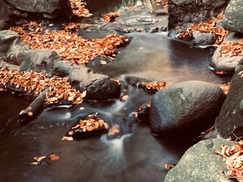 High angle view of water flowing through rocks