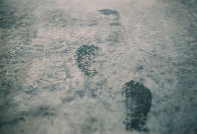 High angle view of footprints in snow