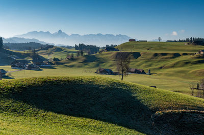 Scenic view of field against sky