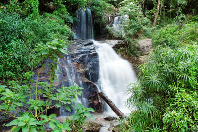 Scenic view of waterfall in forest