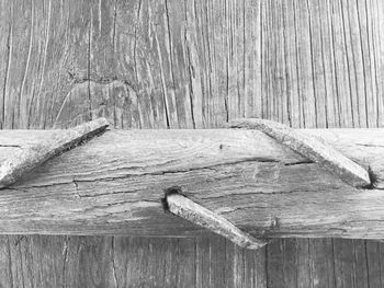 View of trees in forest