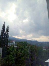 Trees on mountain against cloudy sky