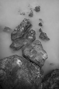 High angle view of rocks in sea