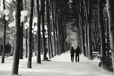 People walking on pathway amidst trees during winter