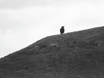 Low angle view of silhouette man walking on mountain