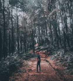 Full length of man standing by tree in forest