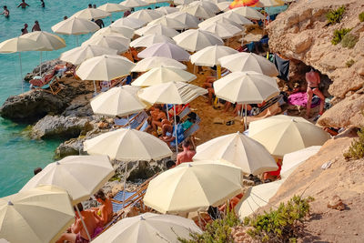umbrella