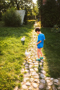 Boy standing in a grass