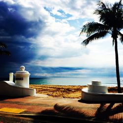 Palm trees on beach