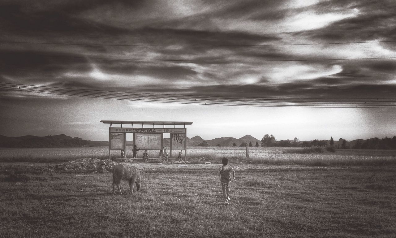 sky, cloud - sky, cloudy, built structure, field, tranquility, fence, weather, tranquil scene, cloud, landscape, nature, scenics, architecture, animal themes, grass, overcast, beauty in nature, horizon over water, domestic animals