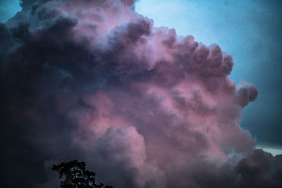 Low angle view of tree against sky