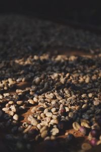 High angle view of coffee beans