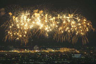 Low angle view of firework display at night