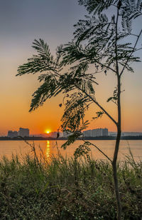 Scenic view of sea against orange sky