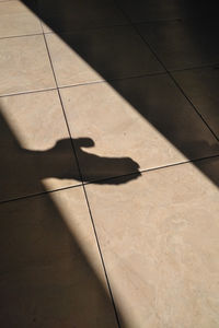 Low section of shadow on tiled floor