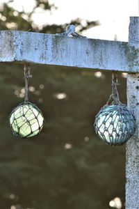 Close-up of electric lamp hanging on metal