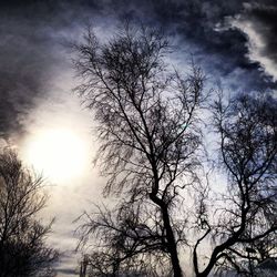 Low angle view of bare trees against cloudy sky