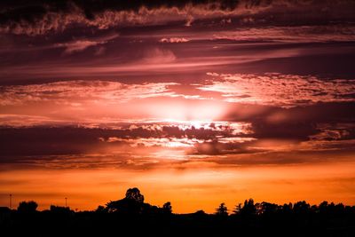 Silhouette trees against sky during sunset