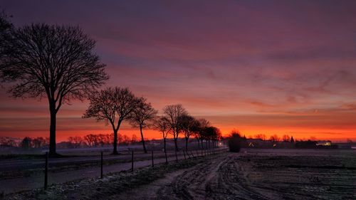 Silhouette trees on field against sky during sunset