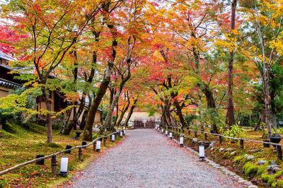 Footpath amidst trees in park during autumn