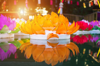 Close-up of yellow flowers for sale at market