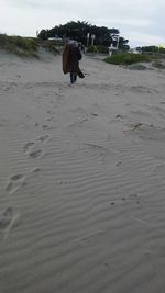 View of beach against sky