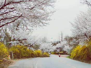 Road amidst trees against sky during autumn