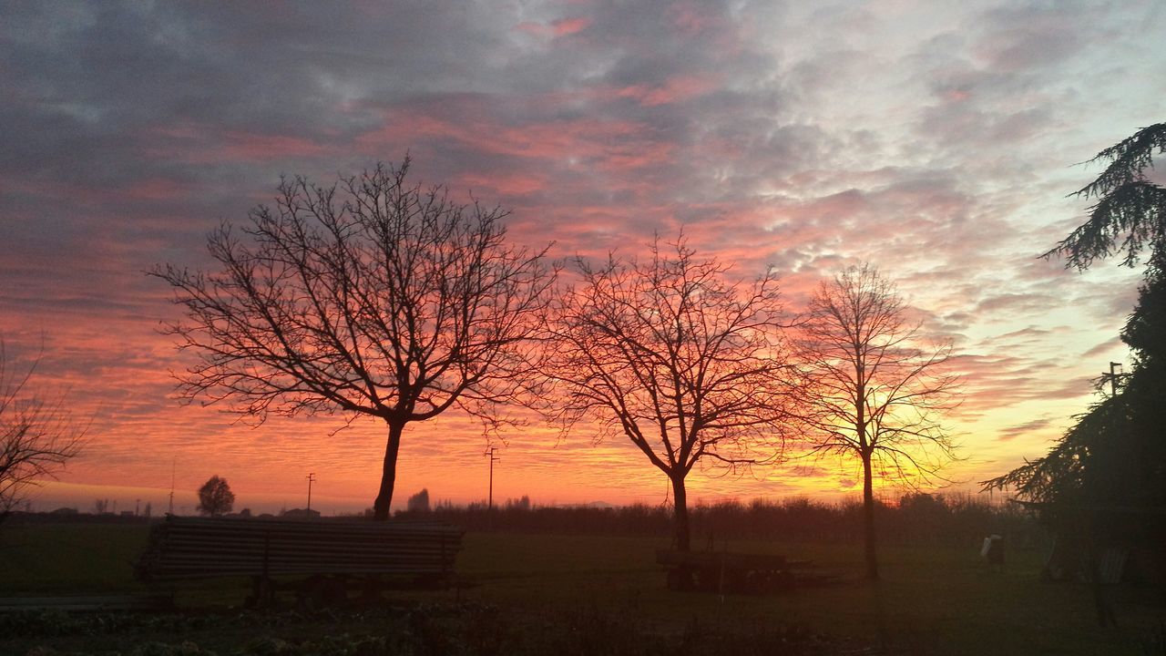 sunset, tree, landscape, sky, bare tree, field, tranquil scene, tranquility, silhouette, scenics, beauty in nature, cloud - sky, nature, orange color, rural scene, idyllic, grass, branch, cloud, non-urban scene