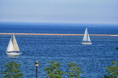 Sailboat sailing in sea against sky