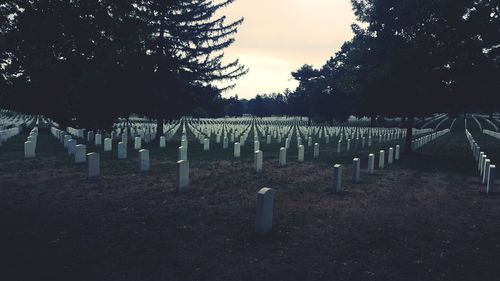 View of cemetery against sky