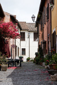 Street amidst houses