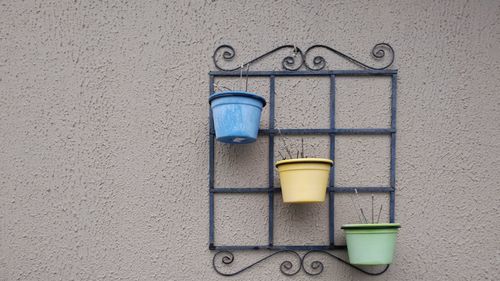 Close-up of potted plants hanging on wall