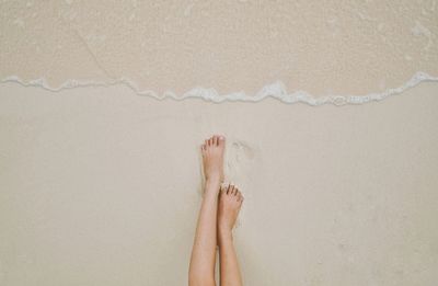 Low section of woman on shore at beach