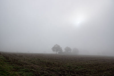 Scenic view of field against sky during foggy weather