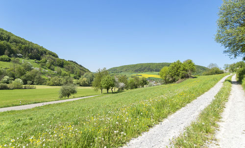 Scenic view of field against clear sky