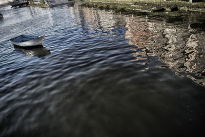 Ducks floating on lake